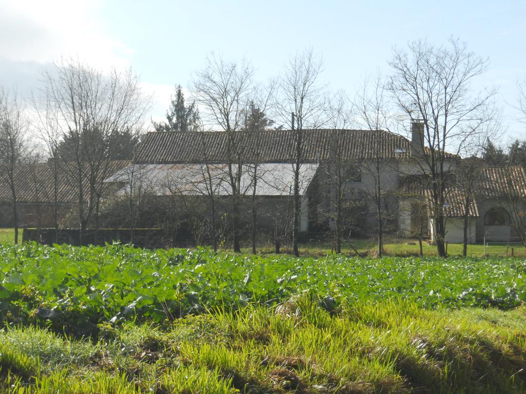 Ferienhaus Wisteria&jasmine Genouille (Vienne)